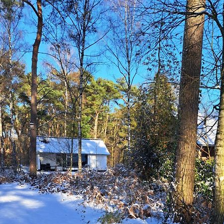 Bungalow, Vrijstaand, Het Vosseven Nr 38 Stramproy 외부 사진