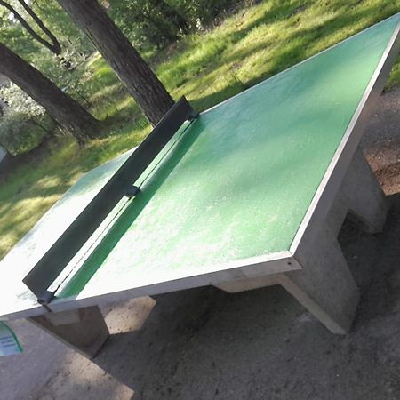 Bungalow, Vrijstaand, Het Vosseven Nr 38 Stramproy 외부 사진