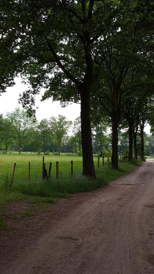 Bungalow, Vrijstaand, Het Vosseven Nr 38 Stramproy 외부 사진